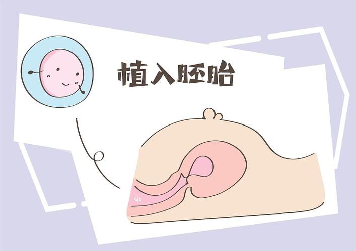 试管婴儿移植后几天着床-试管婴儿移植后几天着床：关键时刻揭秘