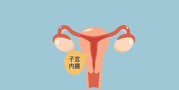 试管婴儿检查中子宫内膜ABC型是什么意思【试管婴儿检查：解读中子宫内膜ABC型】