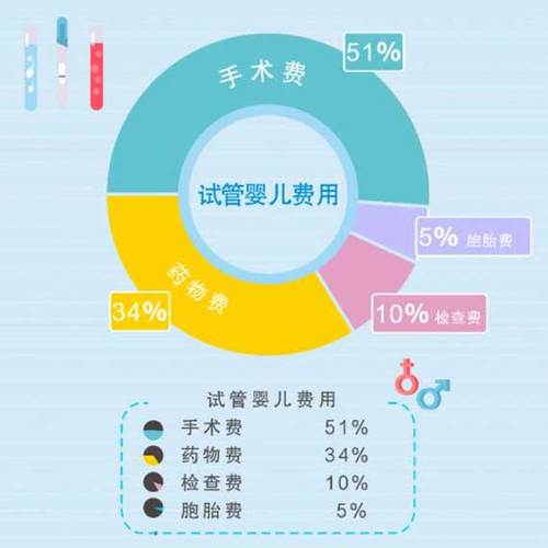 试管婴儿试管代怀费用【试管婴儿试管代怀费用解析及比较】