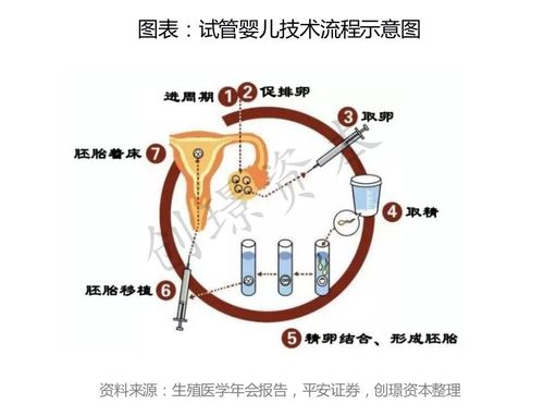 代生孩子联系方式_代生孩子联系方式大揭秘